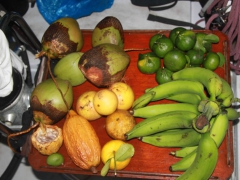 Tobago-1-2